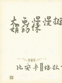 大龟慢慢挺进张娟的休