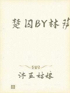 楚囚BY林萨