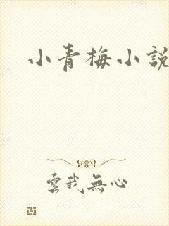 小青梅小说封面