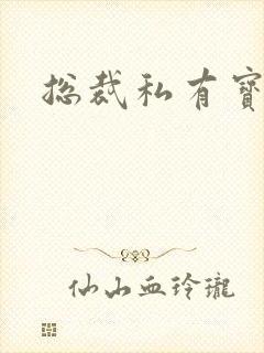 总裁私有宝贝