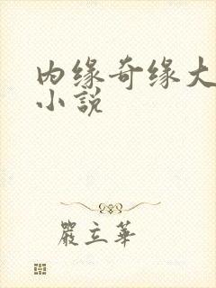 内缘奇缘大团圆小说