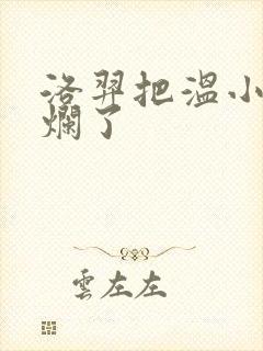 洛羿把温小辉做烂了封面