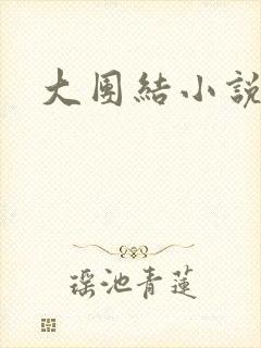 大团结小说全文
