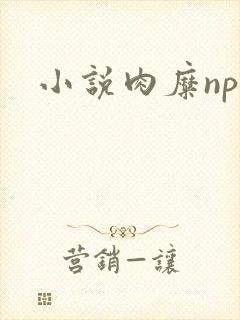 小说肉糜np