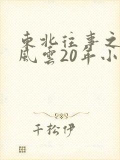 东北往事之黑道风云20年小说