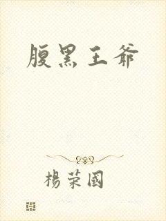 腹黑王爷封面