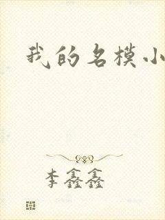 我的名模小娇妻