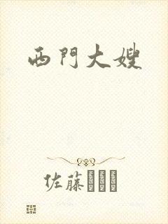 西门大嫂封面