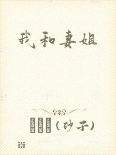 我和妻姐封面