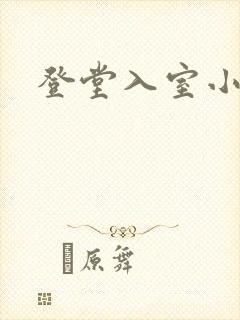 登堂入室小说