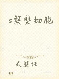 s系双细胞