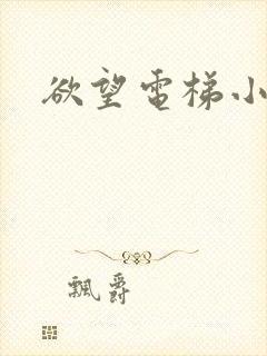 欲望电梯小说封面