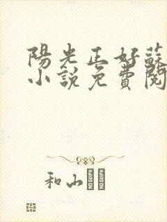 阳光正好苏玥玥小说免费阅读封面