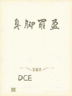 臭脚罗盈封面