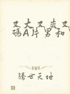 又大又爽又黄无码A片男和男