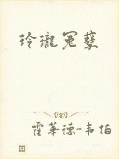 玲珑冤孽