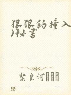 狠狠的撞入(h)秘书