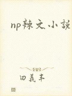 np辣文小说