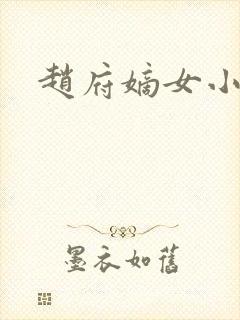 赵府嫡女小说封面