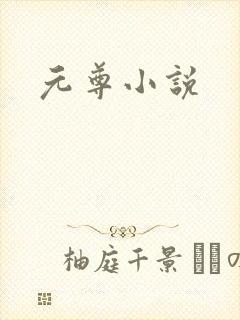 元尊小说封面