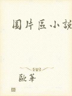 图片区小说区