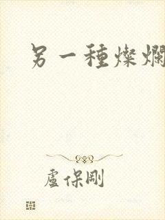 另一种灿烂生活