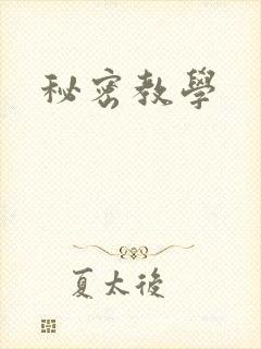 秘密教学