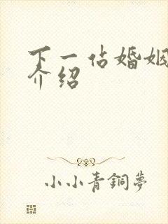 下一站婚姻剧情介绍