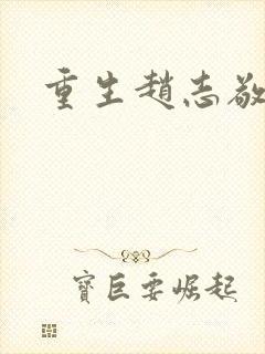 重生赵志敬封面