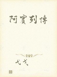 阿宾列传封面
