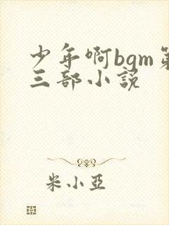 少年啊bgm第三部小说