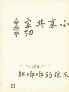 皇家共享小公主宁初封面