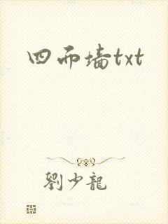 四面墙txt