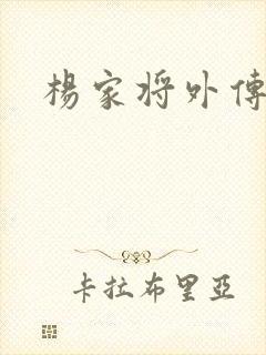 杨家将外传