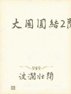 大团圆结2阅读