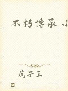 不朽传承 小说