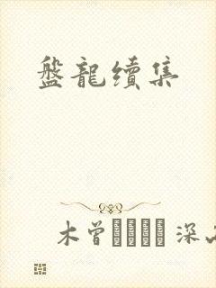 盘龙续集