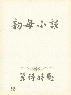 韵母小说