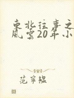 东北往事之黑道风云20年小说