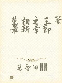 万相之王笔趣阁最新章节封面