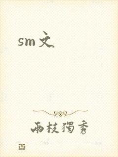 sm文
