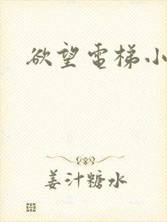 欲望电梯小说