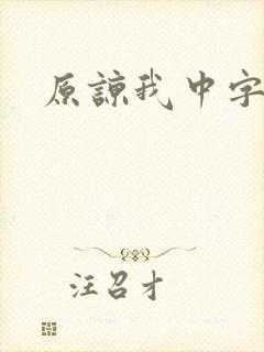原谅我中字
