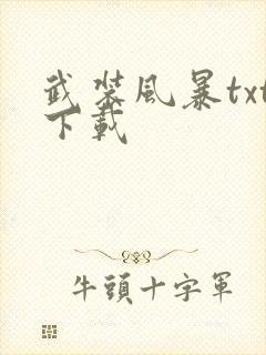 武装风暴txt下载封面