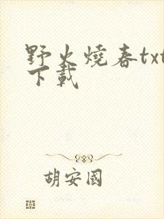 野火烧春txt下载