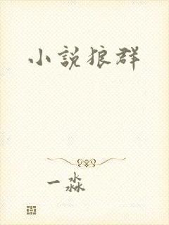 小说狼群