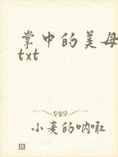 掌中的美母版主txt