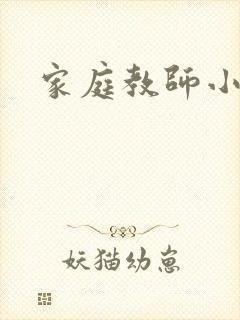 家庭教师小说封面