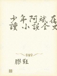 少年阿斌在线阅读 小说全文免费