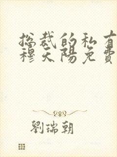 总裁的私有宝贝穆天阳免费封面